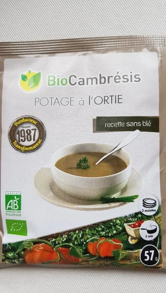 Potage à l'ortie