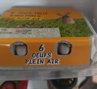 6 OEUFS PLEIN AIR