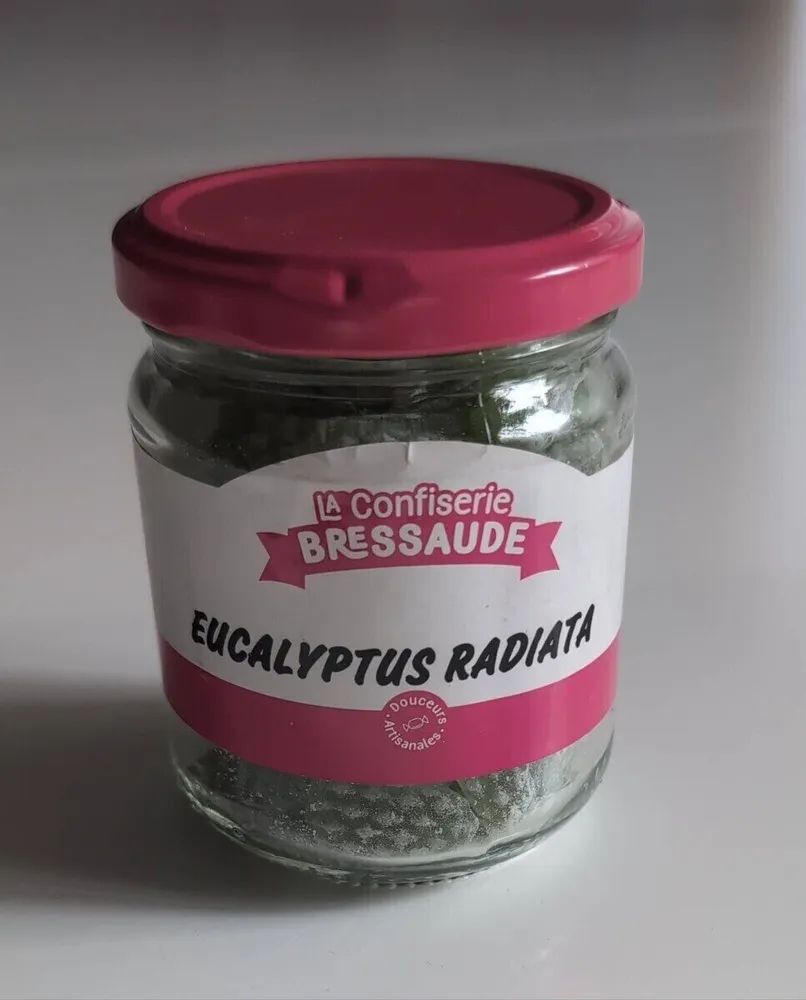 EUCALYPTUS RADIATA