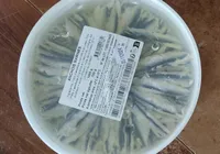 ANCHOIS MARINES