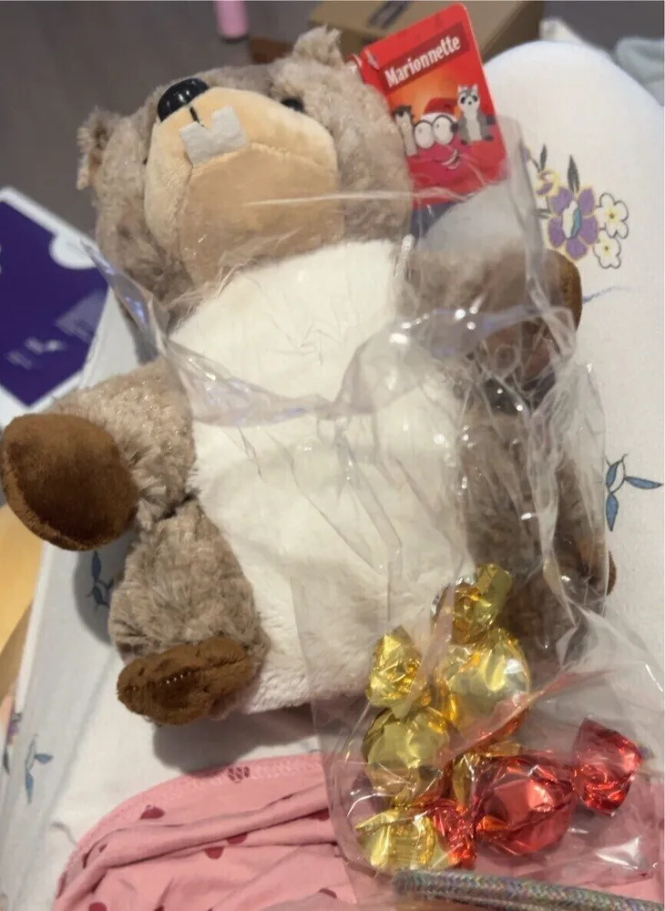 chocolat de noël