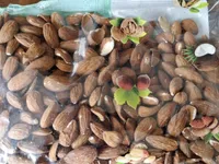 Amandes Carmel