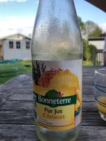 Jus d'ananas issu de l'agriculture biologique