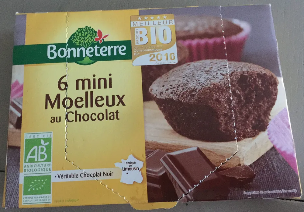 6 mini moelleux au chocolat