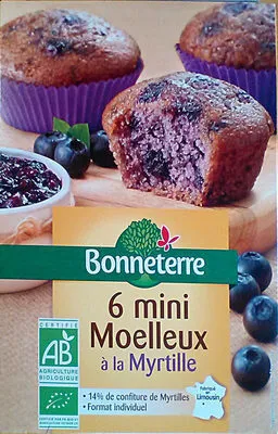 Mini moelleux à la myrtille