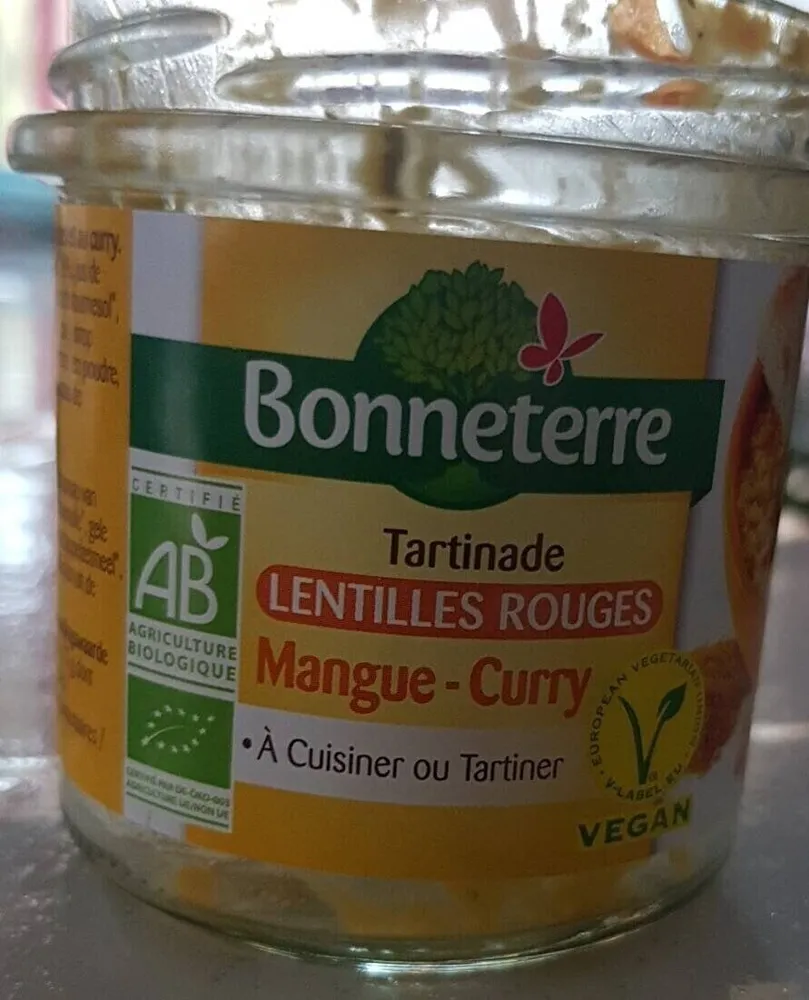 Tartinade Lentilles rouges Mangue Curry