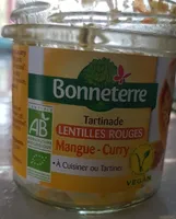 Tartinade Lentilles rouges Mangue Curry