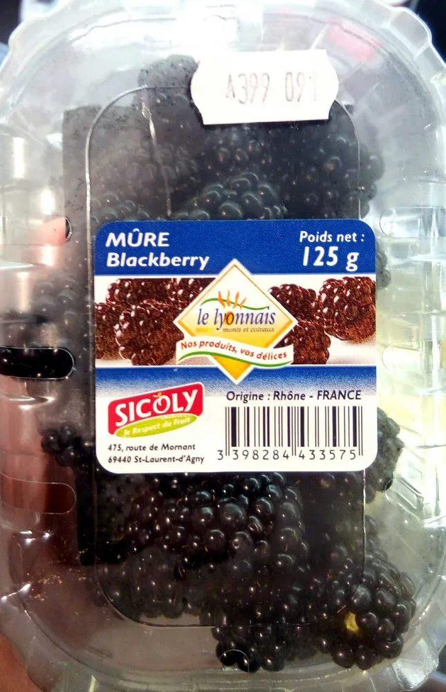 Mûre