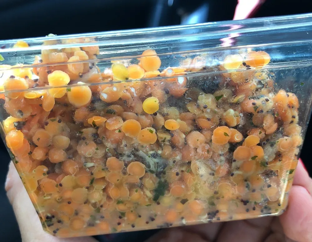 Salade lentilles corail raisins secs et menthe bio