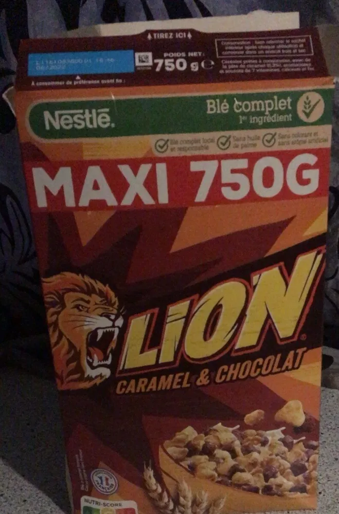 Lion