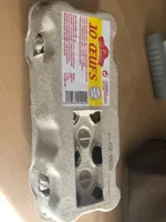 10 oeufs