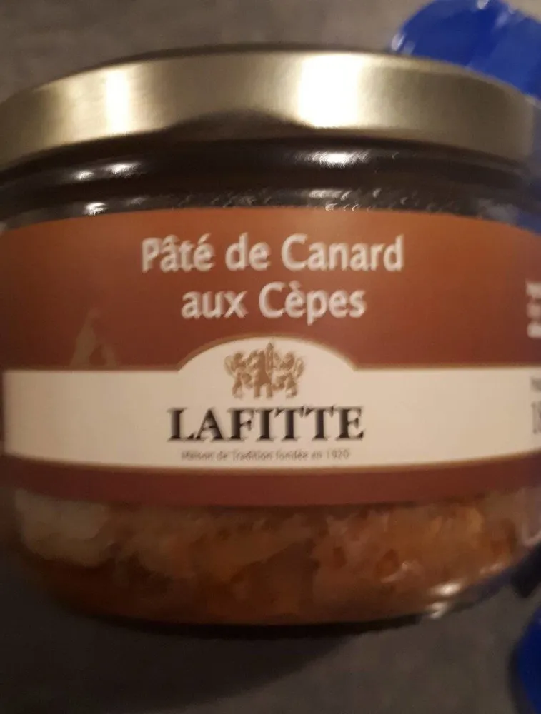 Pâté de canard aux cèpes