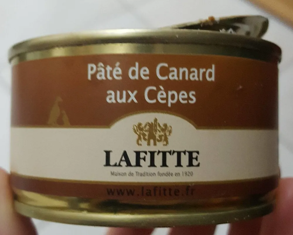 Pâté de canard aux cèpes