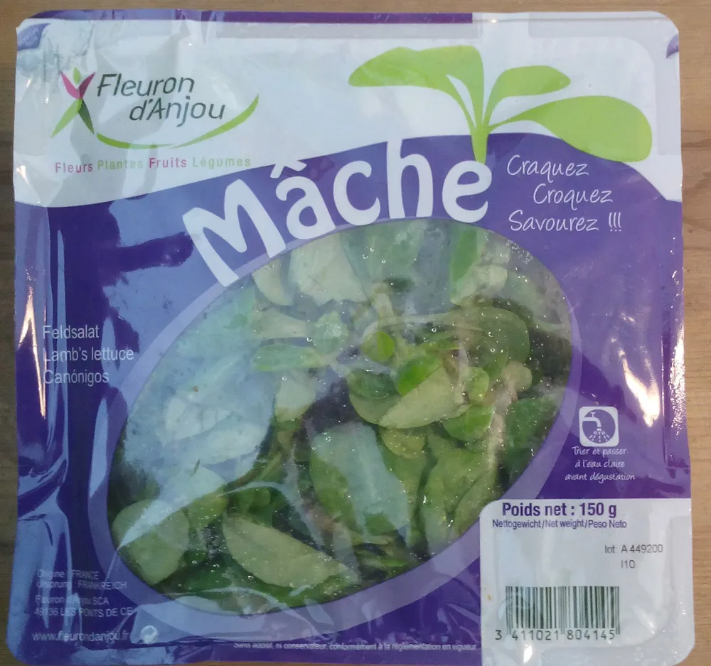 Mâche