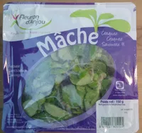 Mâche