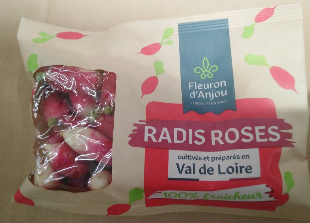 Radis roses