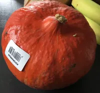 Potimarron