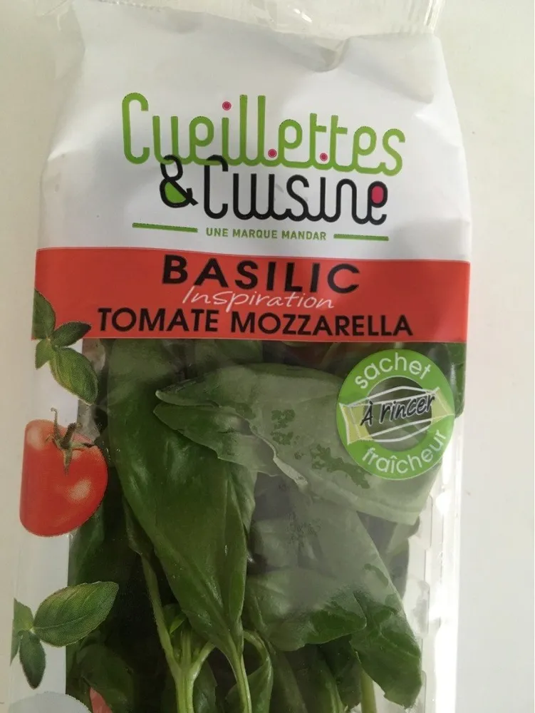 Barq.basilic Frais 20G,