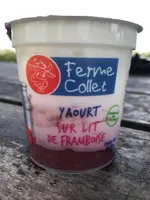 Yaourt sur lit de framboises