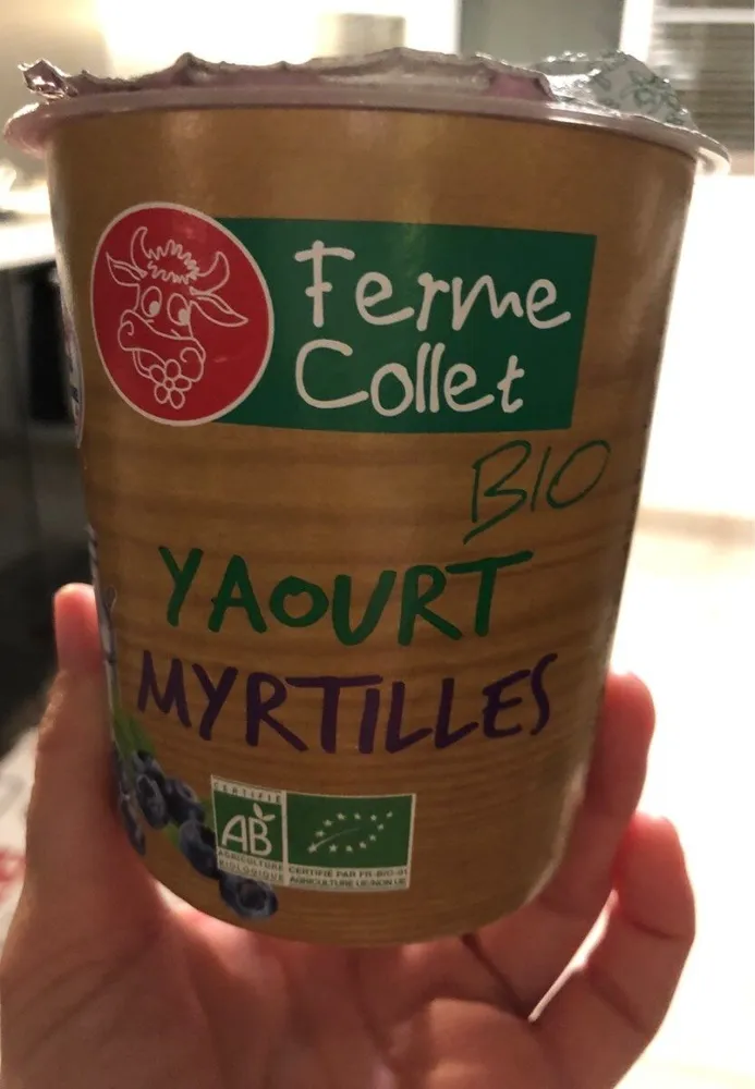 Yaourt myrtilles