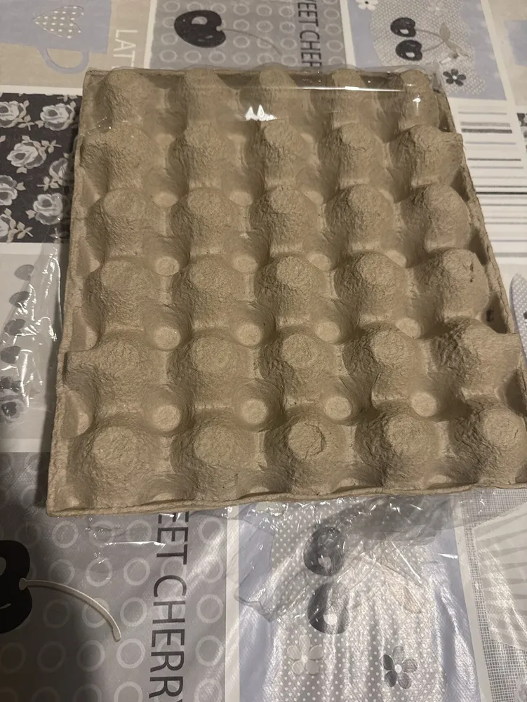 Oeuf