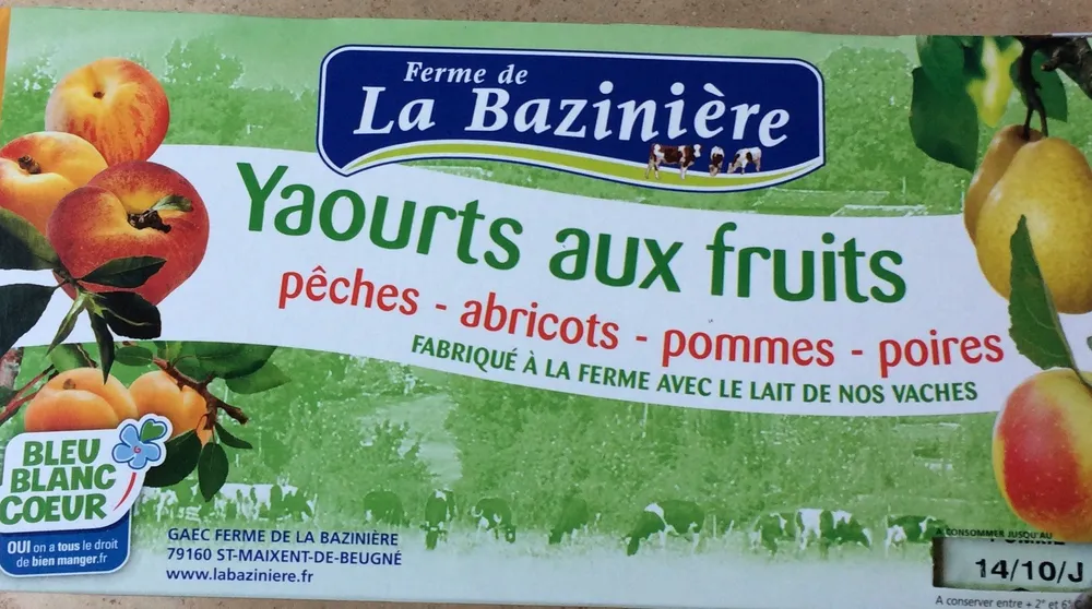 Yaourt aux friits