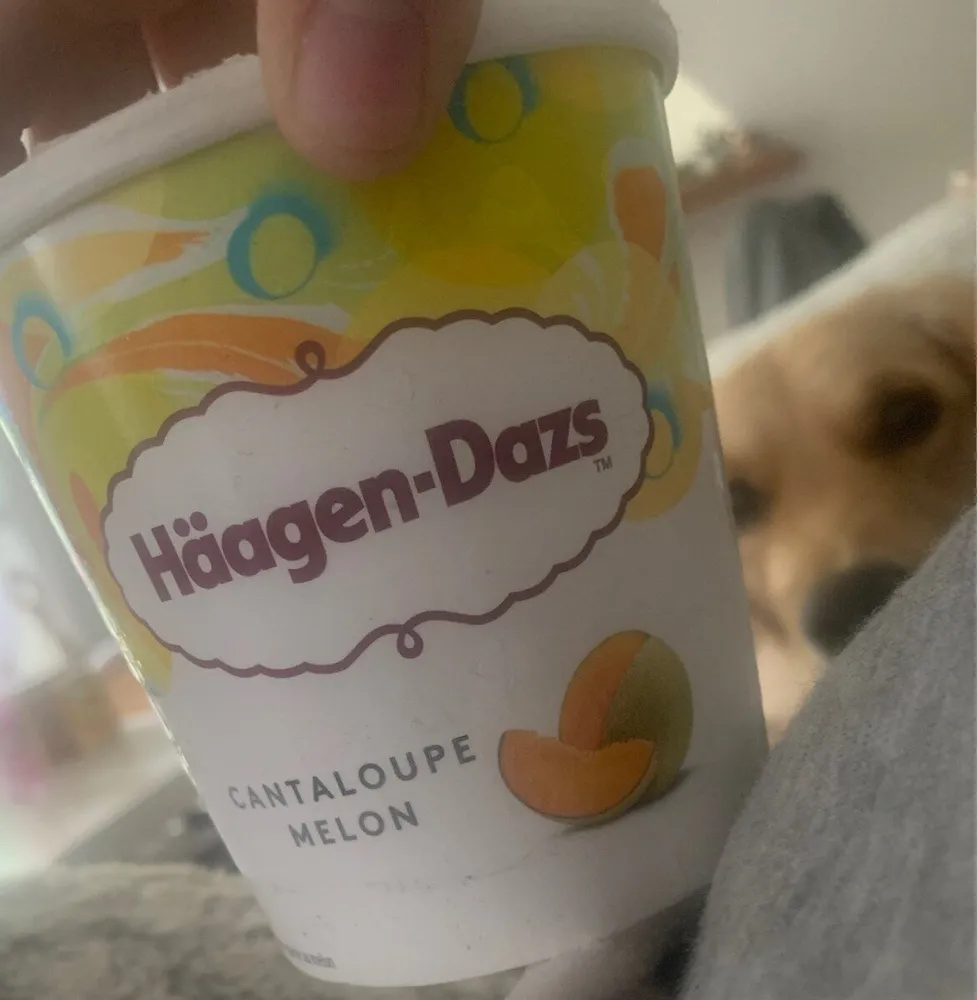 Glace melon