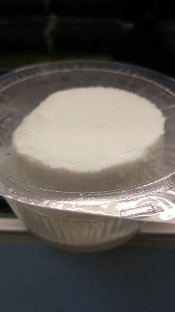 Crottin chèvre frais