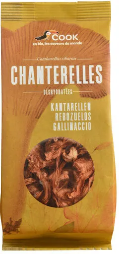 CHANTERELLES sachet coussin 