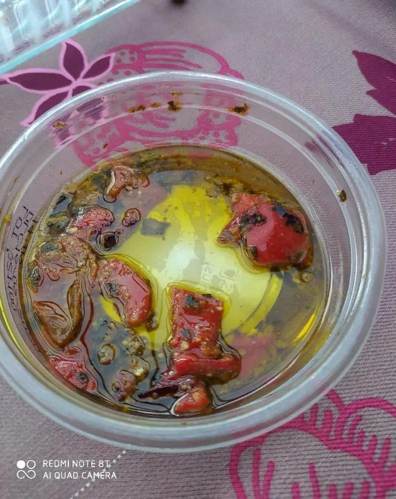 Mélange de calamars et de poulpes