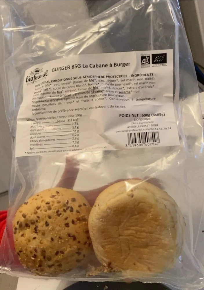 Pains Burger