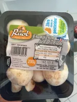Champignons de Paris Blanc