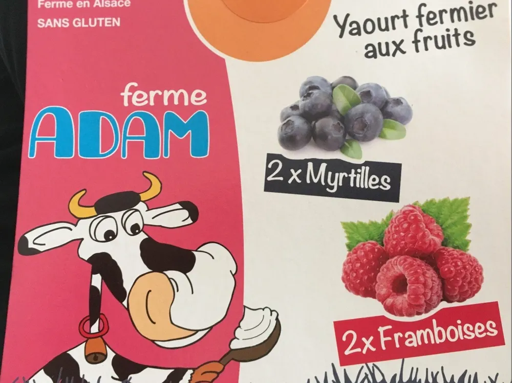 Yaourt fermier aux fruits