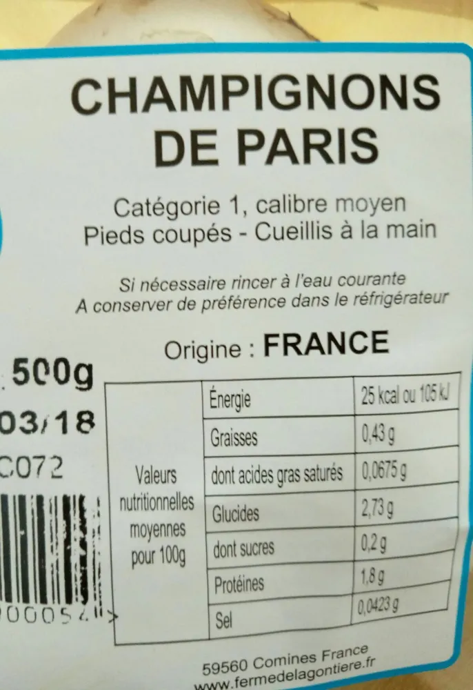 Champignon blanc de Paris