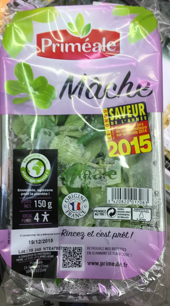 Mâche