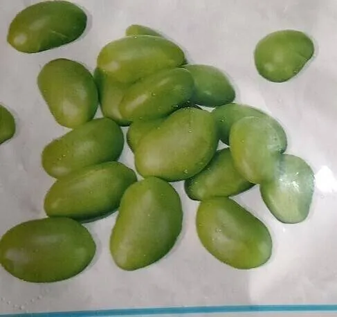 Fèves de soja