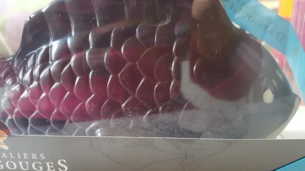 Poisson en chocolat noir 70% de cacao