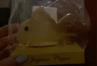 Duo de poissons au chocolat