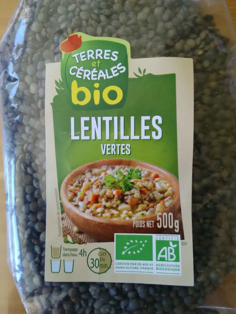 Lentilles vertes