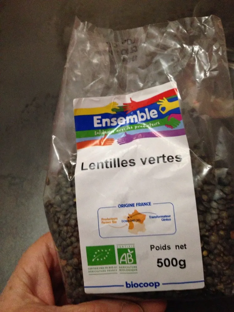 Lentilles Vertes