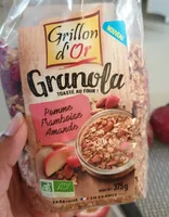 Granola tosté au four