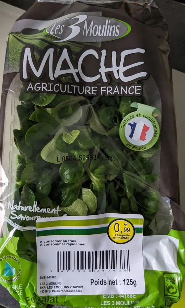 Mache