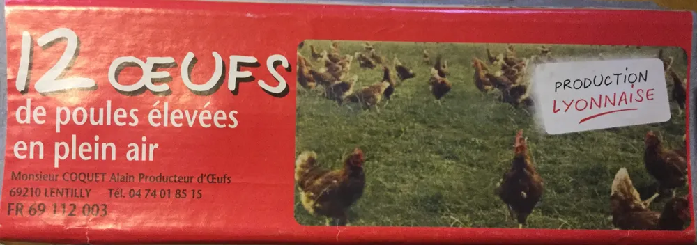 Oeufs de poules élevées en plein air