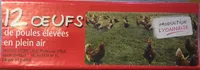 Oeufs de poules élevées en plein air