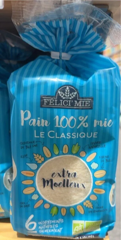 Pain 100% mie