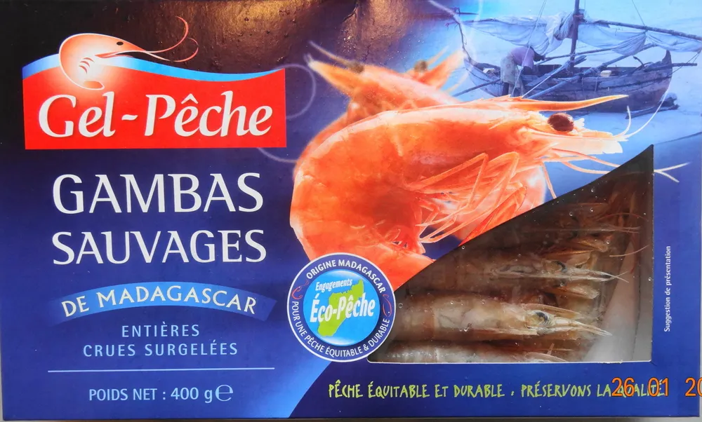 Gambas sauvages de Madagascar
