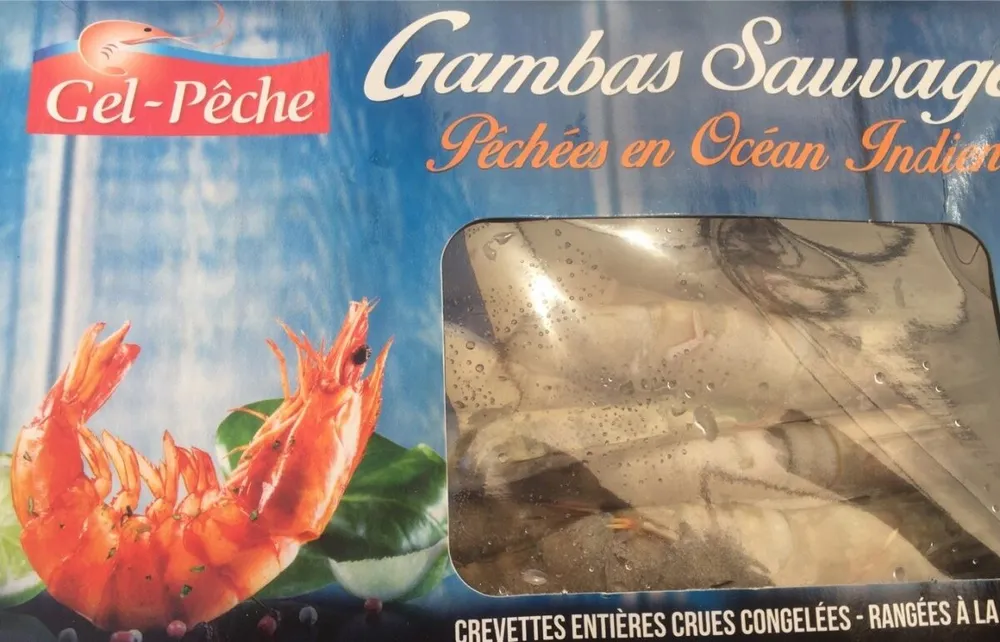 Gambas sauvage