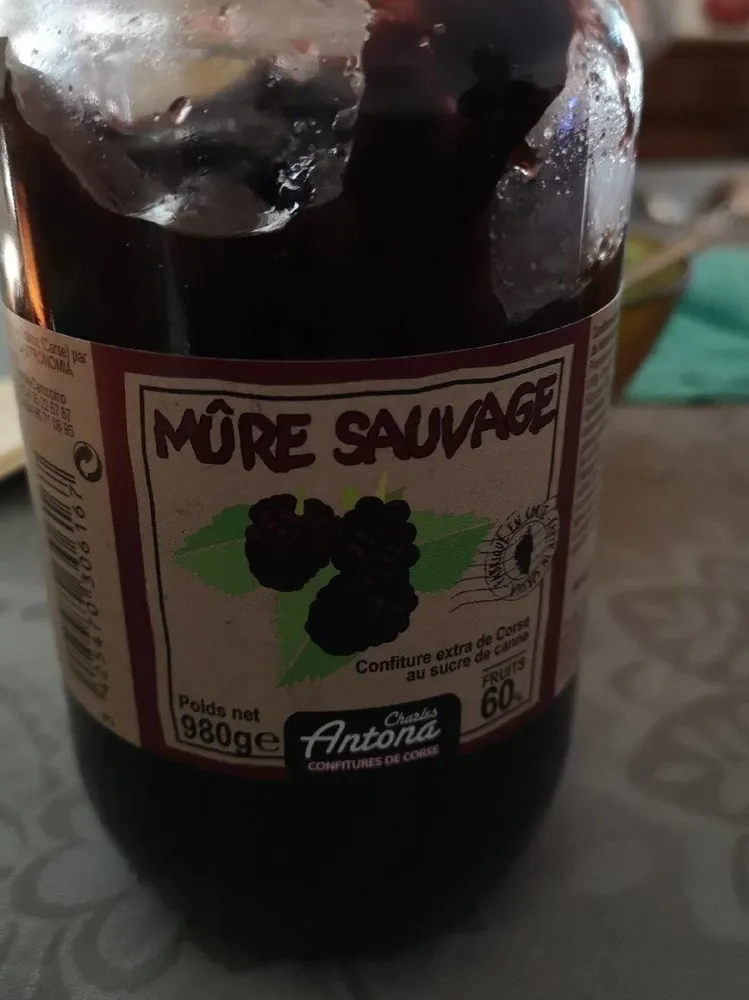 MÛRE SAUVAGE