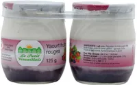 Yaourt aux fruits rouges