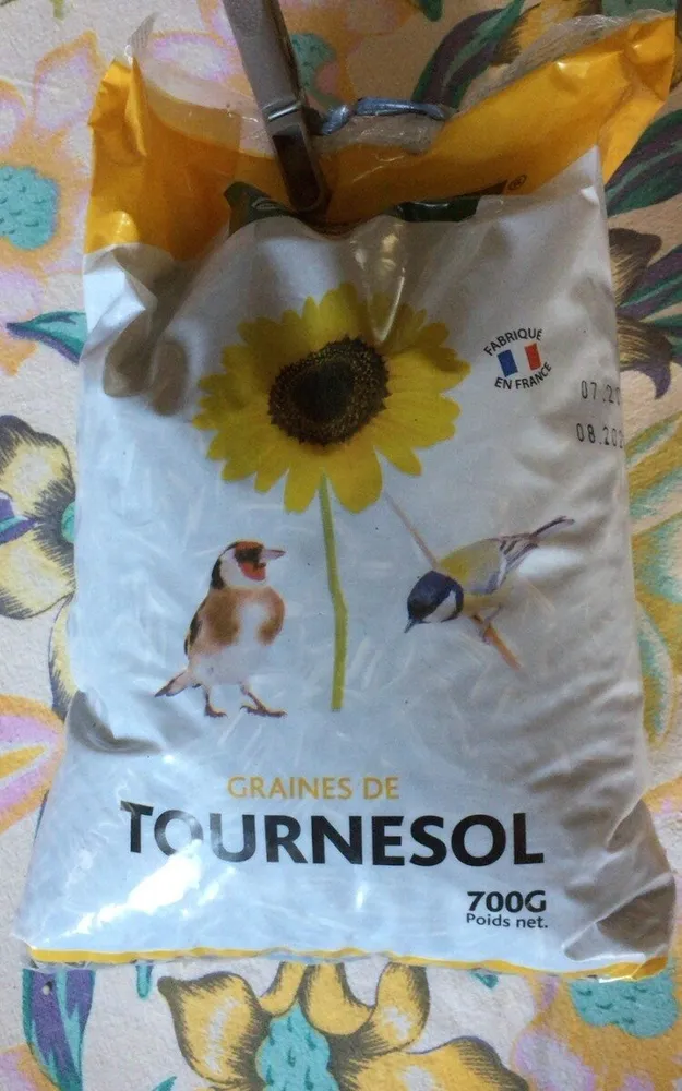 Graine de tournesol